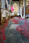 Poppy Drift . Holy Trinity Church, Hull. 2011