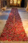 TRENCH – Beverley Minster 2013